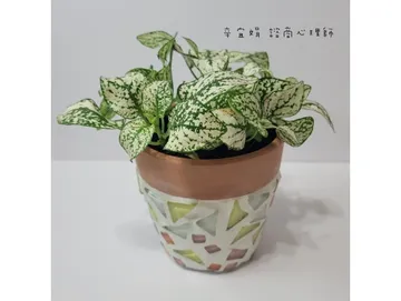 【活動】園藝紓壓工作坊(標題待定)圖片